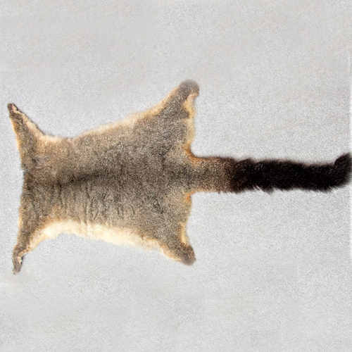 Possum Skins Lenah Fur