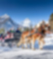 PyhrnPrielPferdekutschenfahrtHaflinger_PyhrnPrielTourismusGmbHDanielHinterramskogler