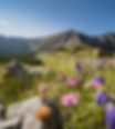 PyhrnPrielWandernHoessSchrocken_PyhrnPrielTourismusGmbHMarkusKohlmayr
