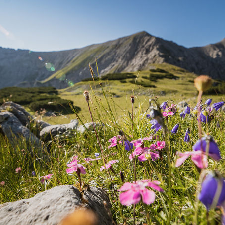MountainbikeAbendstimmungAuffahrtNationalparkKalkalpen_OberoesterreichTourismusMoritzAblinger