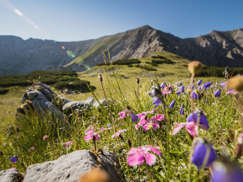 Wandern in Oberösterreich: Unsere 10 Lieblingstouren in der Region Pyhrn-Priel