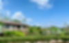 IMG-8100.jpg