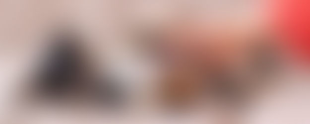 small dog getting belly rubs at in-home boarding in anthem az