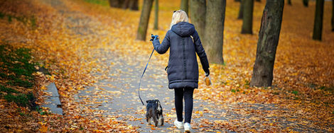 How Often Should You Take Your Dog Out?