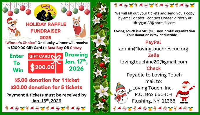 raffle christmas 2025 use this without lights oie_crvhbuAaKxkJ.png