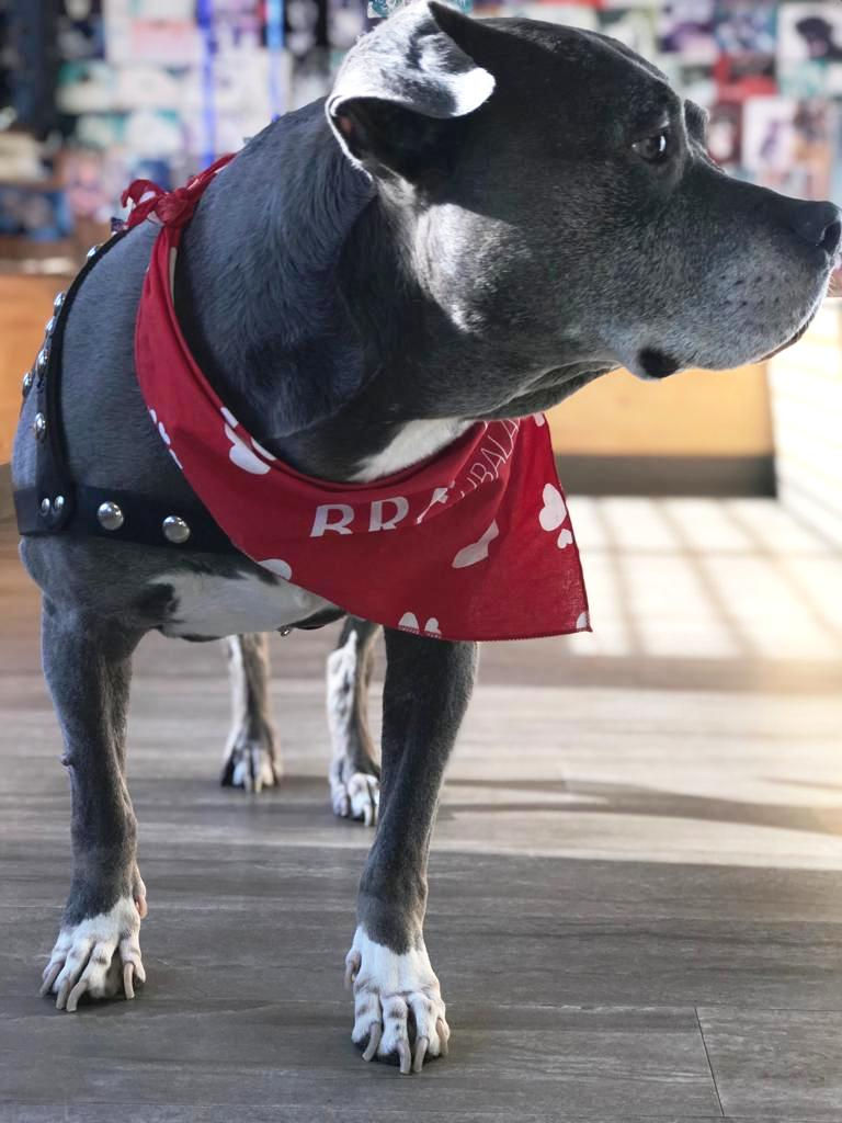 FRANKIE JUNE 2019 PHOTO 3