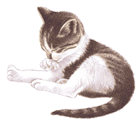 animated cat paw.gif