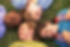 CEF picture of kids.jpg