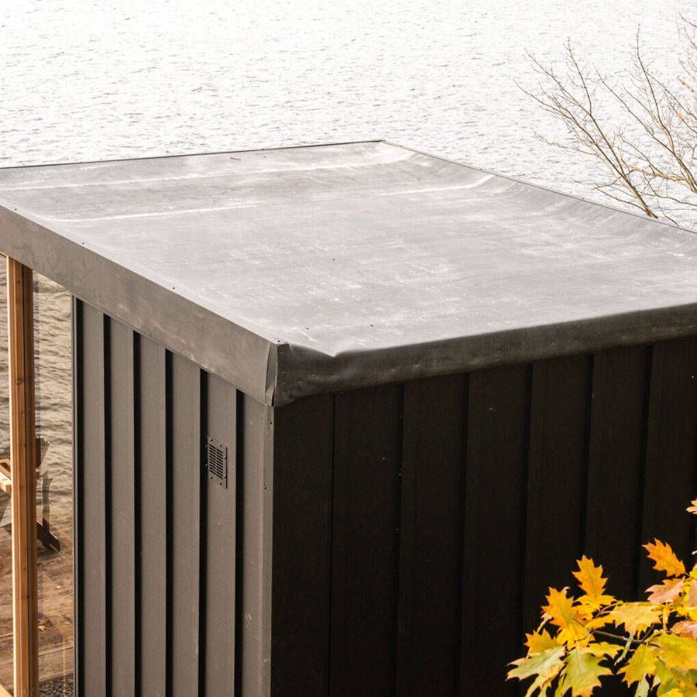 Thumbnail: Pure Cube Orion Sauna