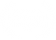 OFFICIAL SELECTION - First Contact Film Festival - 2020.png