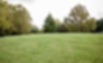 Landscape shot of LANDology work on the Greens Drive project, supporting their Core Value pillars.