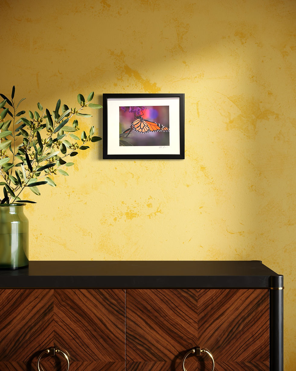 Thumbnail: Butterfly (12x15 Framed, Limited-Edition Print Signed by Sarah)