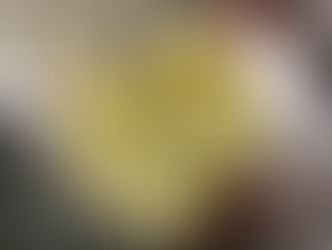 本日のりんごは甘い蜜がたっぷり！