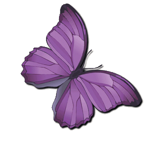 Beautiful-Purple-Butterfly-colors-346052