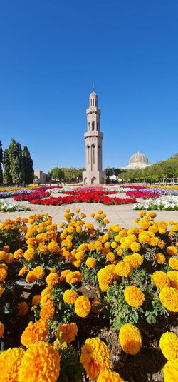 mosque flowers