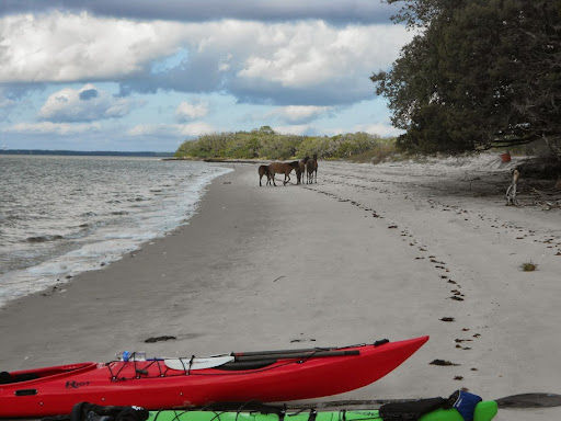 Kayak Amelia Island to Cumberland Island (Wild Horses Run)