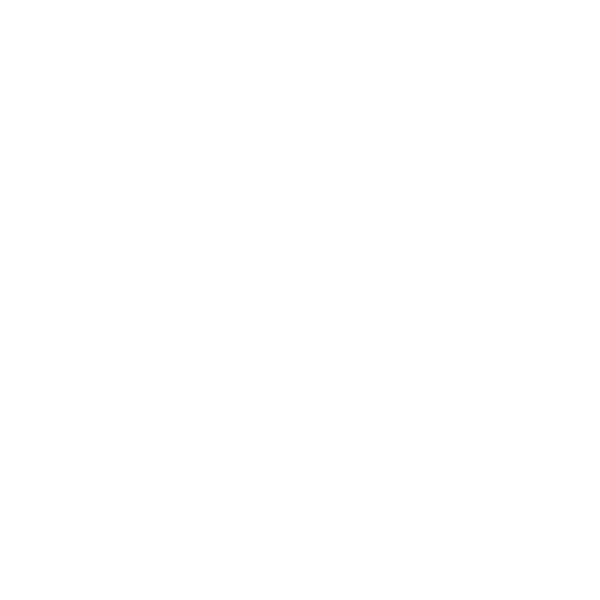 cloud (2).png