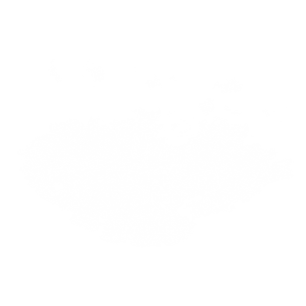 cloud (1).png