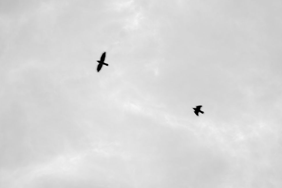 © Laia Guerrero Prácticas exterior 15