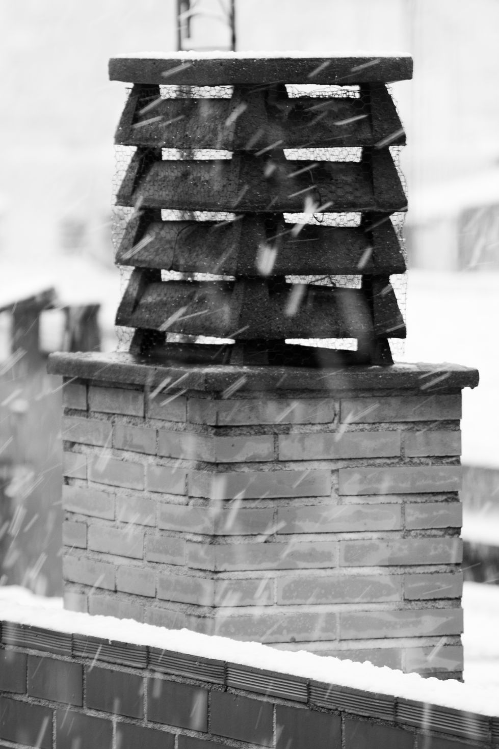 © Laia Guerrero nieve 08