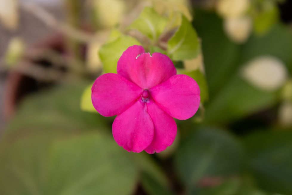 © Laia Guerrero María de Huerva03