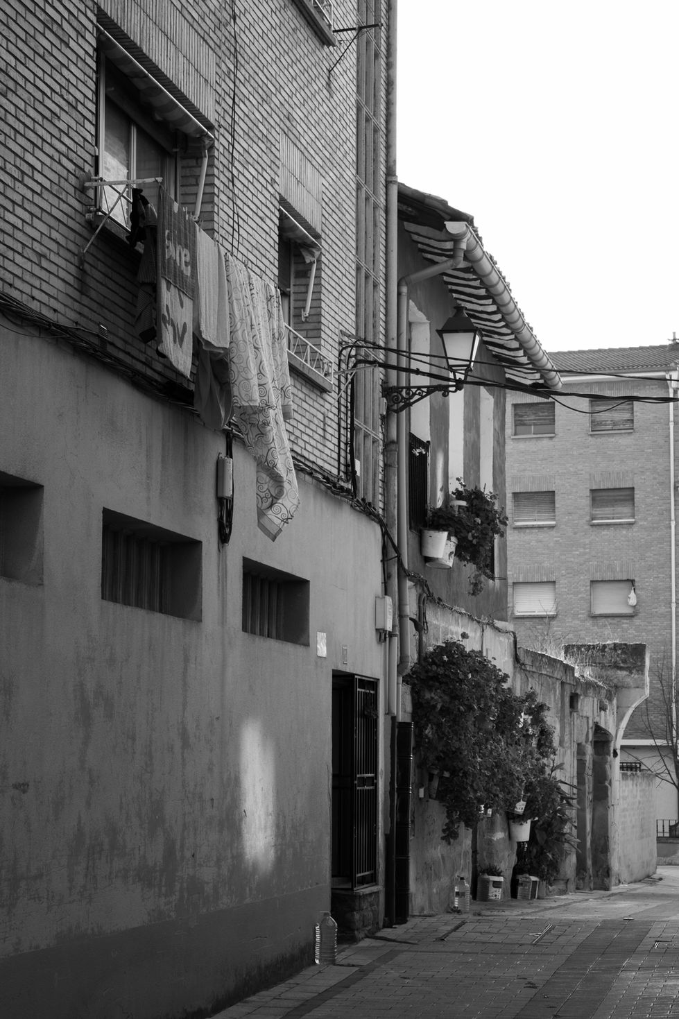 © Laia Guerrero Haro 10