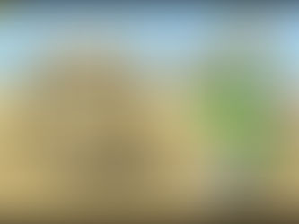 The Food Shortage Epidemic Within Our Existing Pandemic