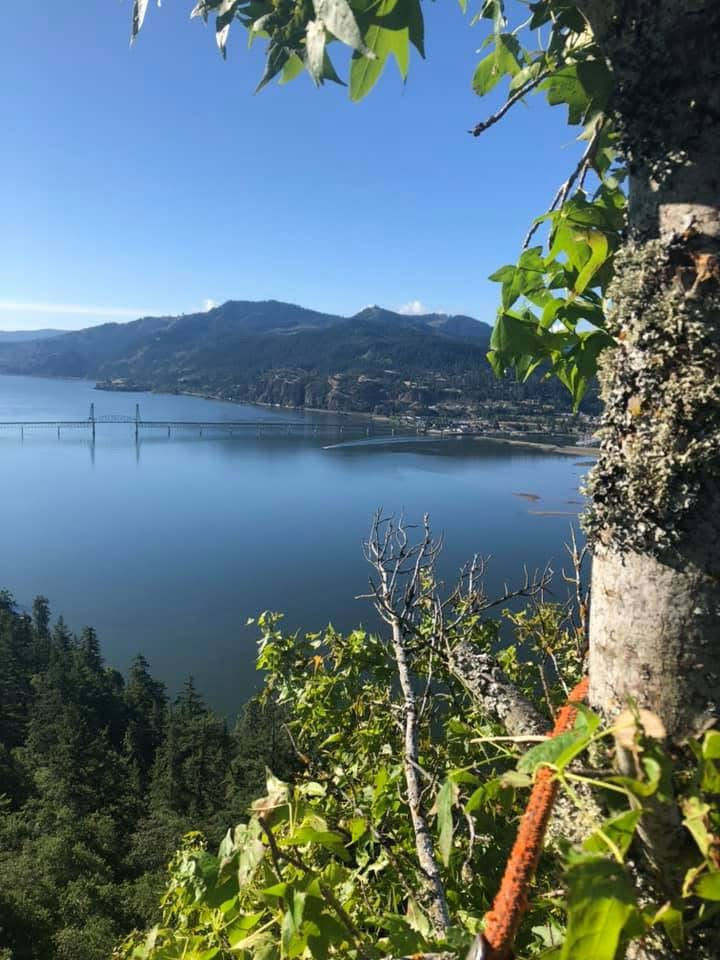 View of the Hood River White Salmon Bridge and Columbia River Gorge