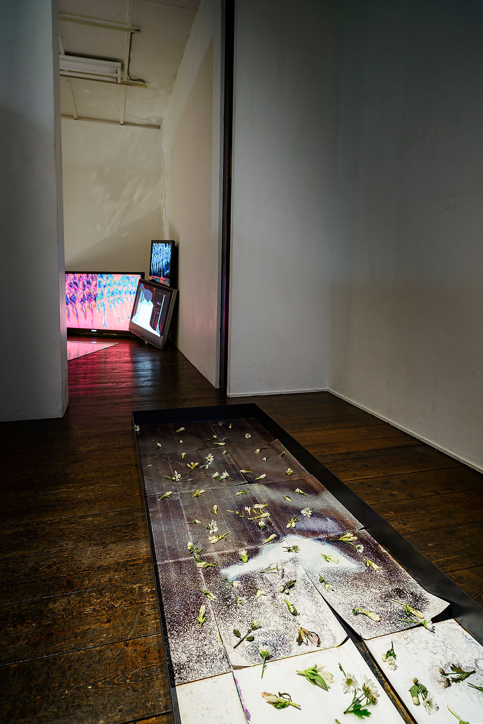 200807_mOishi-23s.jpg
