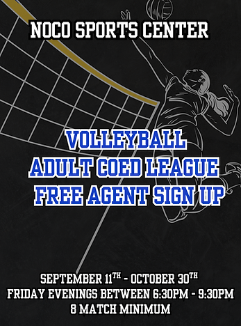 Adult Volleyball League Free Agent (1).png