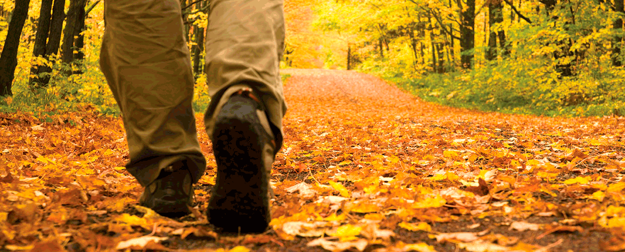 hiking-feet-fall-1240.gif