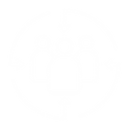 Imagens variadas - 2025-03-18T125810.188.png