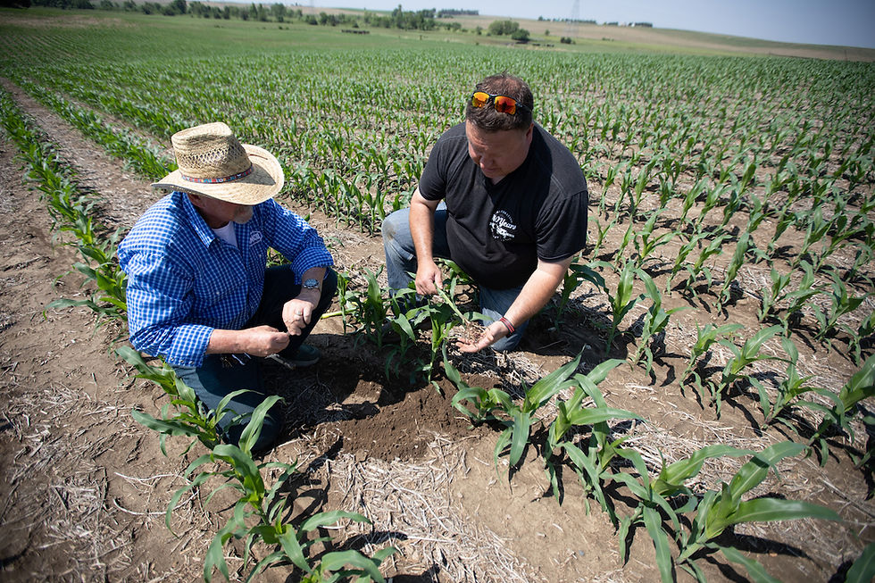 The Nitro-Mag Liquid Urea Fertilizer Complex