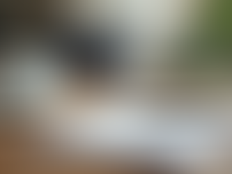 How to Boost Your Productivity with Simple Daily Habits