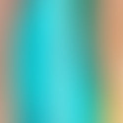 Halluks Valgus / Ayak Başparmak Çıkıntısı