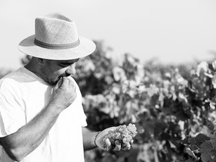 Fabio Ferracane