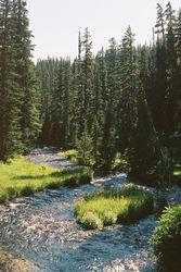 Three Sisters Creek .jpeg