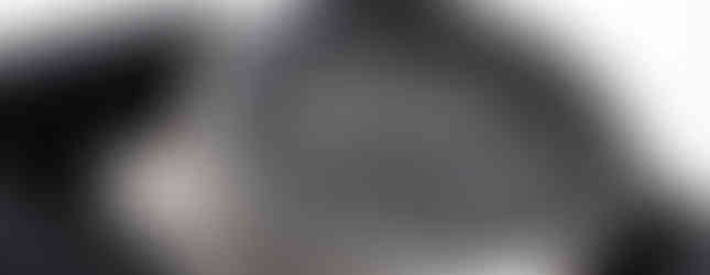 originale Bulova Moonwatch