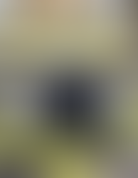 Rolex Sea Dweller 16600