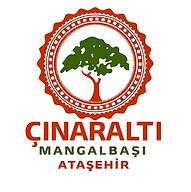 100x100-CINARALTI-LOGO-2-ATASEHIR.png