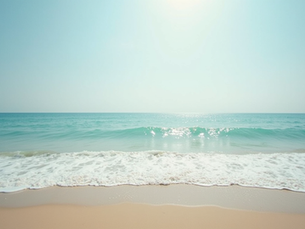 Dicas para Iniciantes: Surf e Conexão com a Natureza