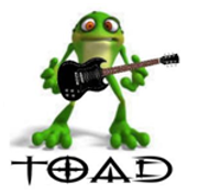 TOAD logo picture and name only.bmp