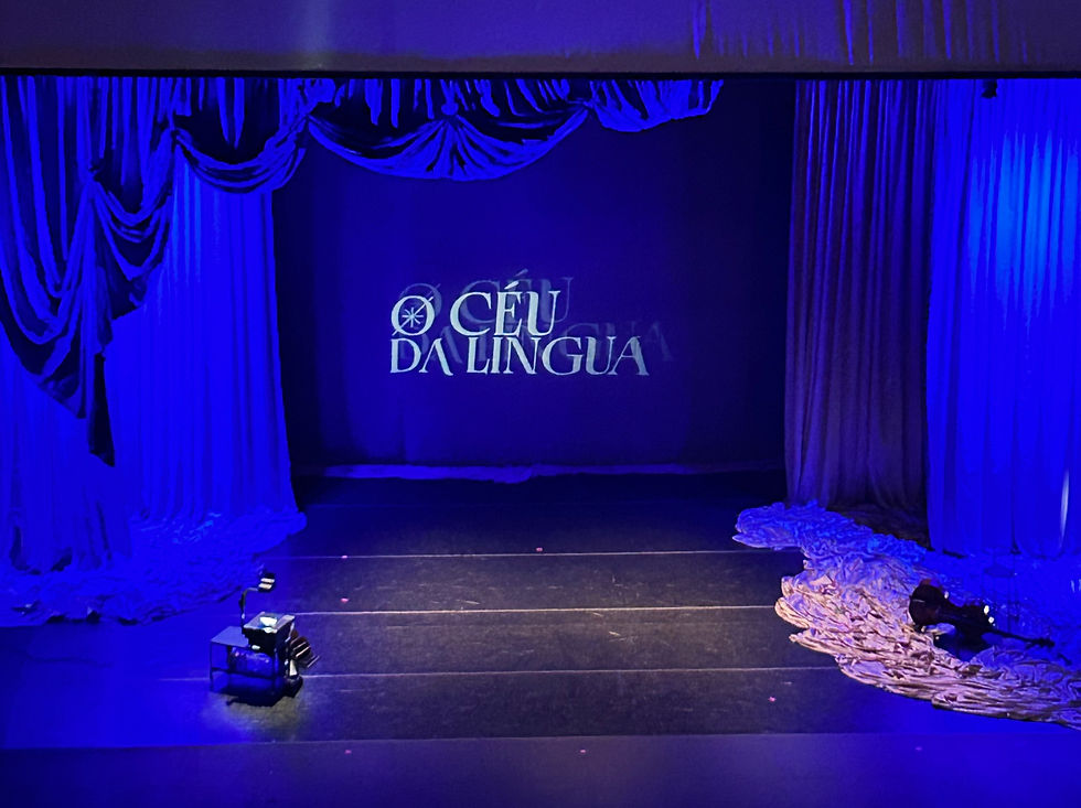 Cenário do espetáculo "O Céu da Língua", no Teatro Bradesco em São Paulo (Foto: arquivo pessoal)