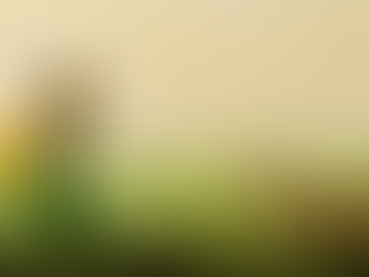 Ele não teve a intenção