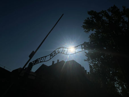 Diário de Bordo #25 - O dia que eu visitei Auschwitz