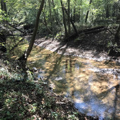Wilkes County Land with Stream Frontage