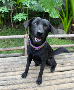 6e51b98d-d4a6-4b65-8890-4d45f4542e4d_edited