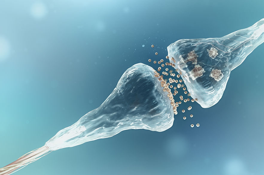 shutterstock_377204860_edited_edited_edi