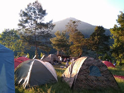 31466805_10214752533382172_4978678462630854656_n