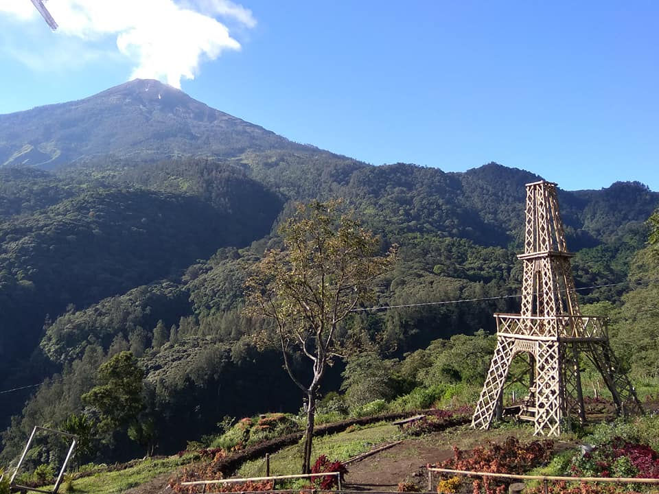 31408186_10214754275745730_6439020656699899904_n